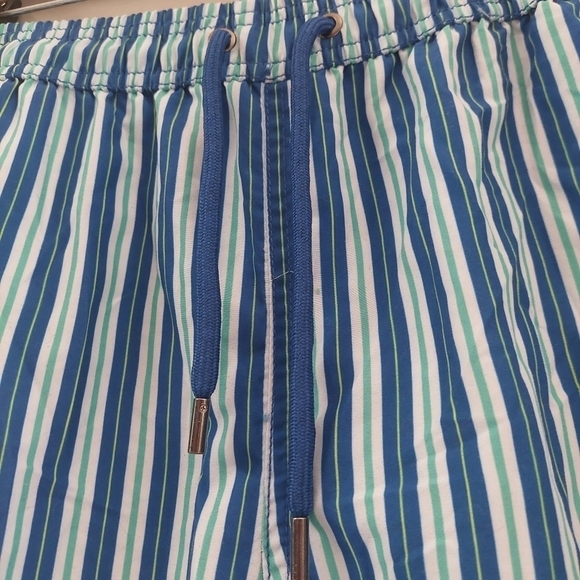 Beach Bros Blue White Green Swim Trunks Stripped Men's Medium - Picture 8 of 13